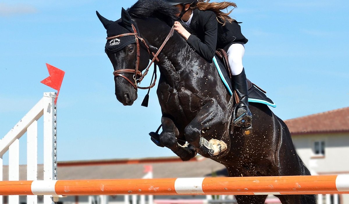 Building Rider Core Strength for Better Balance in Saddle