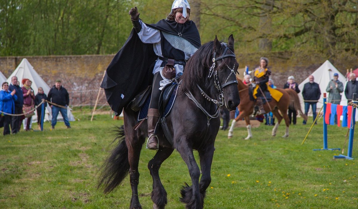 Choosing the Right Bridle for Comfort and Control