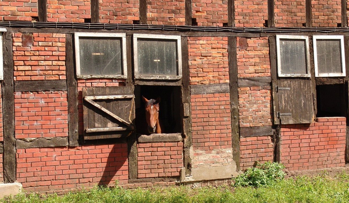 Creating a Show Day Timetable for Horse and Rider