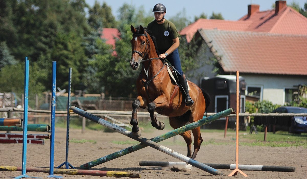 Essential Showjumping Warm-Up Exercises for Nervous Riders