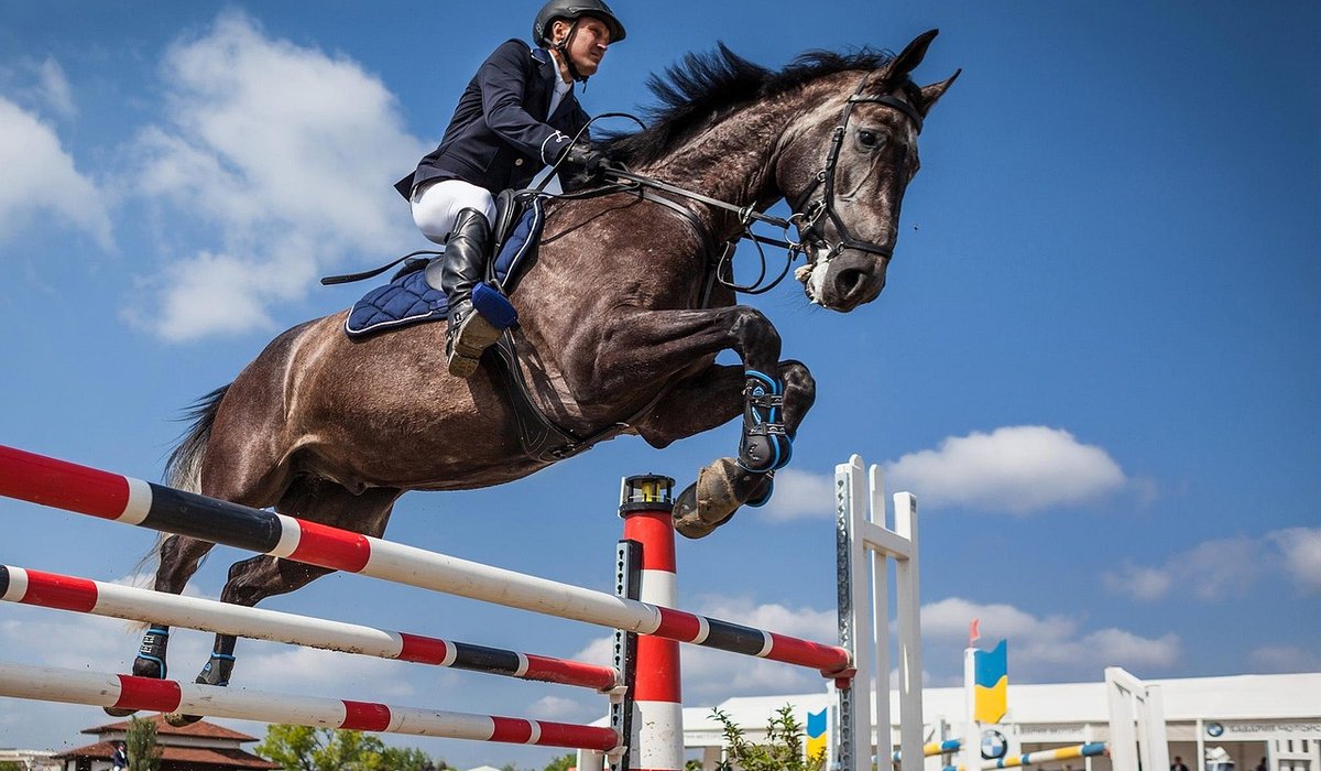 How to Prepare Your Horse for a Local Show