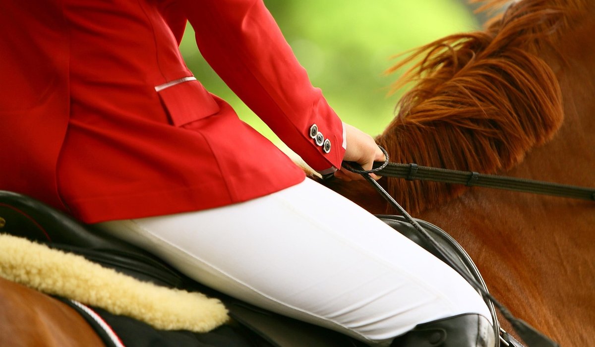 Understanding Dressage Test Sheets for First-Time Competitors